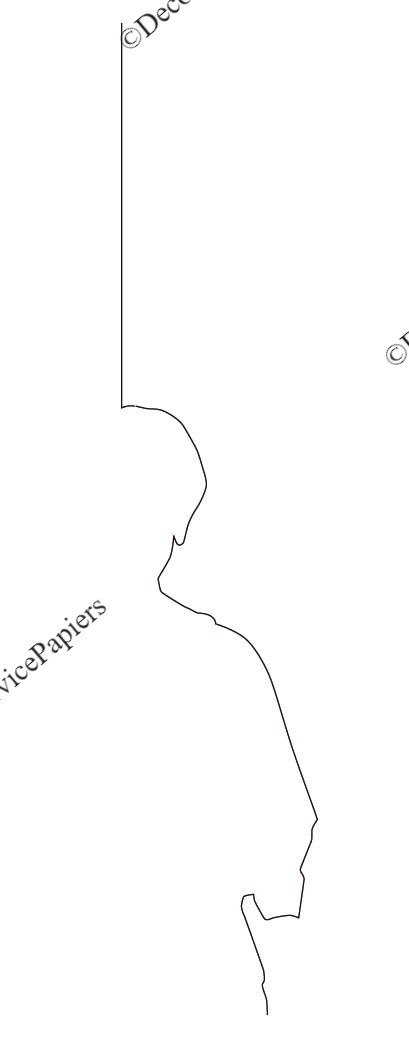 SILHOUETTE HOMME 60 X 308